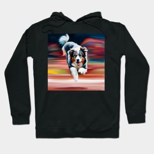 Australian Shepherd Agility Hoodie